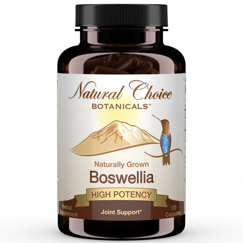 Boswellia Serrata Extract Supplement - 120 Capsules